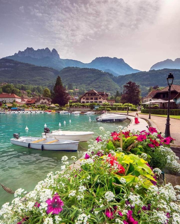 Superbe Appartement Cosy Annecy Dış mekan fotoğraf